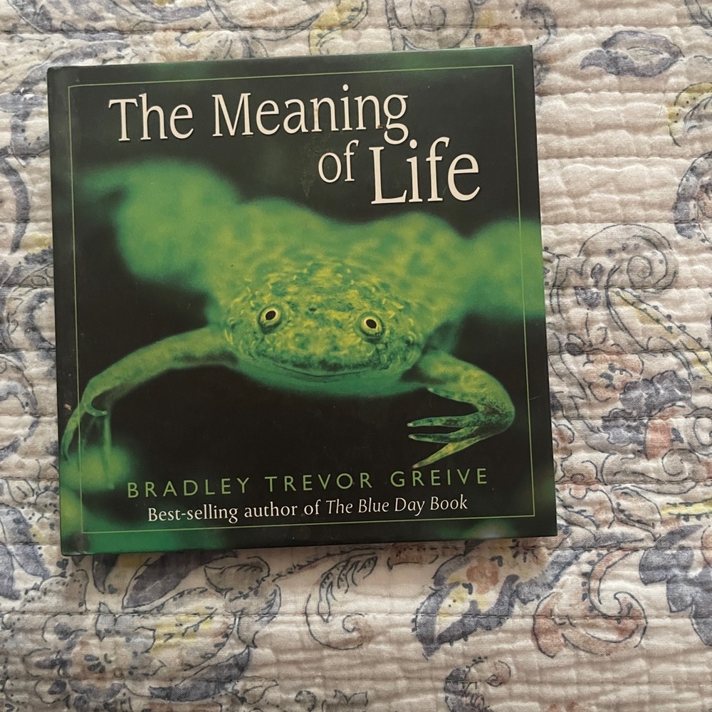 Vibrant Green Reptile with Striking Features